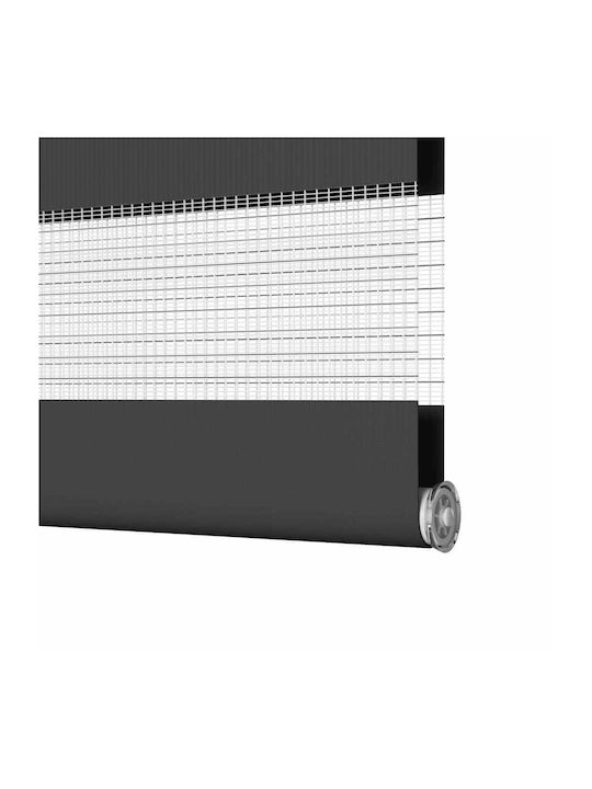 vidaXL Rollos Partieller Blackout Schwarz B50xH200cm 4014251