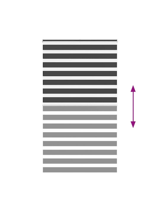 vidaXL Roller Blinds Partial Blackout Black W135xH200cm 4014268