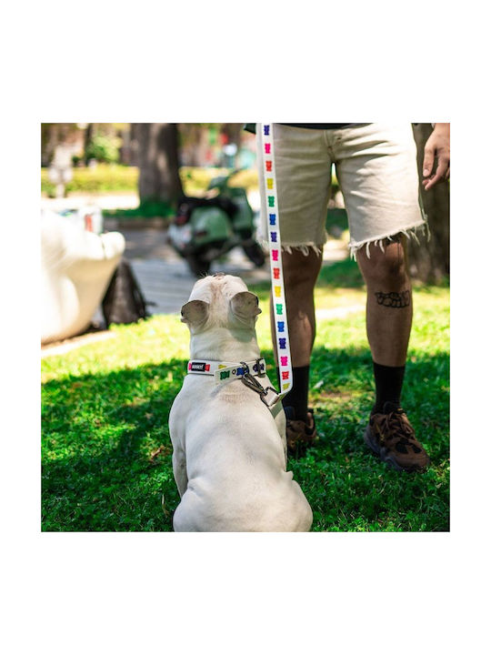 Pet Interest Κολάρο Σκύλου σε Λευκό χρώμα Medium