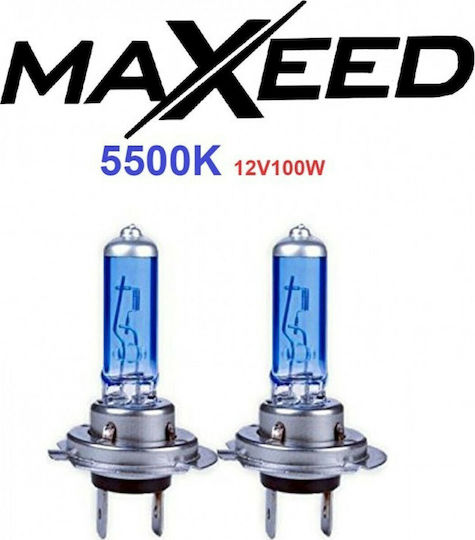 Maxeed Lamps Car H4 Xenon 5500K Cold White 100W 2pcs