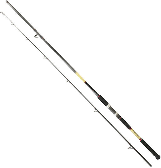 Καλάμι Daiwa Grandwave Shore Jigging Μήκος 3,05 Μέτρα