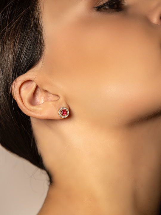 Chrysothemiss Earrings made of Steel Gold Plated with Stones