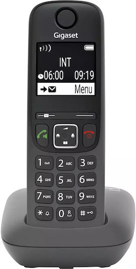 Gigaset AE690 Telefon fără fir cu Meniu în Limba Greacă Gri
