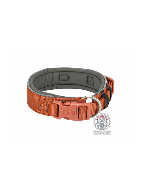 Trixie Premium Dog Collar in Orange color XSmall / Small 25mm