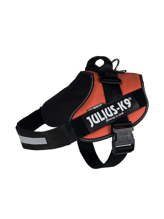 Julius K9 Πορτοκαλί X-Large Julius K9 Πορτοκαλί X-Large