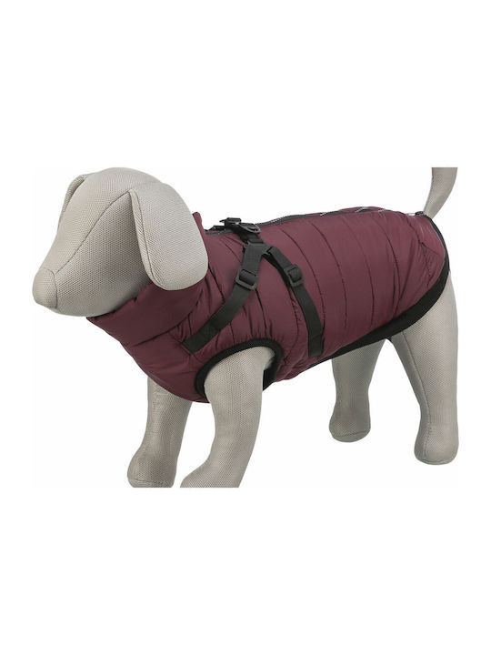 Trixie Red Dog Coat with 33cm Back Length