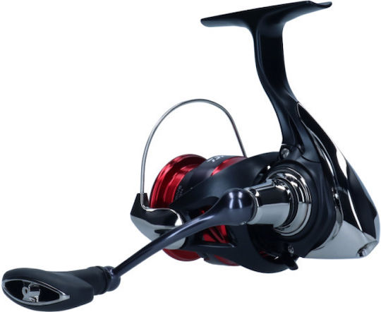 Daiwa Ninja LT 2023 Fishing Reel for Bolognese, Spinning, English and Vertical 2000