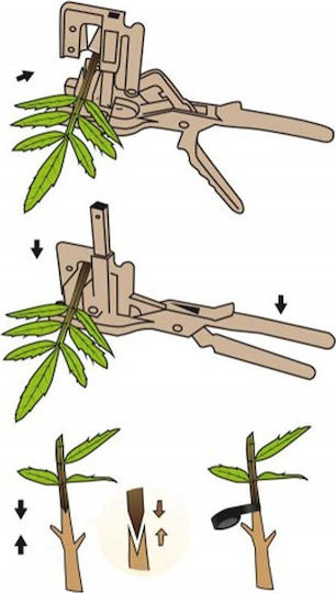 Grafting Shears 8231