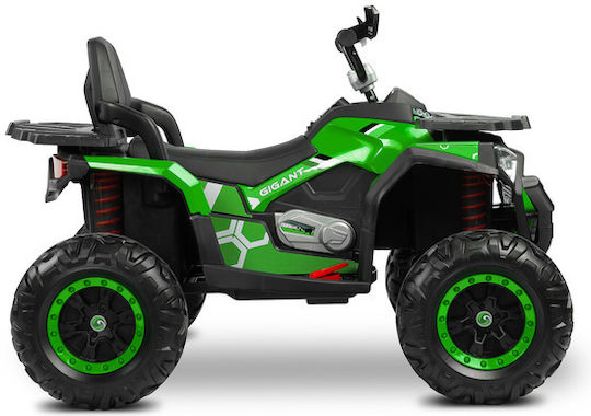 Kinder Elektromotorrad 12V Grüne Für 3+ Jahre