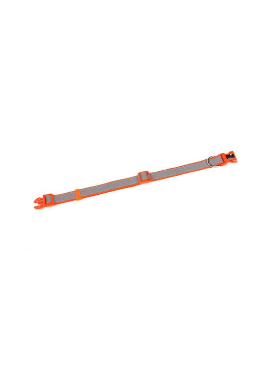 Petler Κολάρο σε Γκρι χρώμα Medium 16mm x 26 - 41cm
