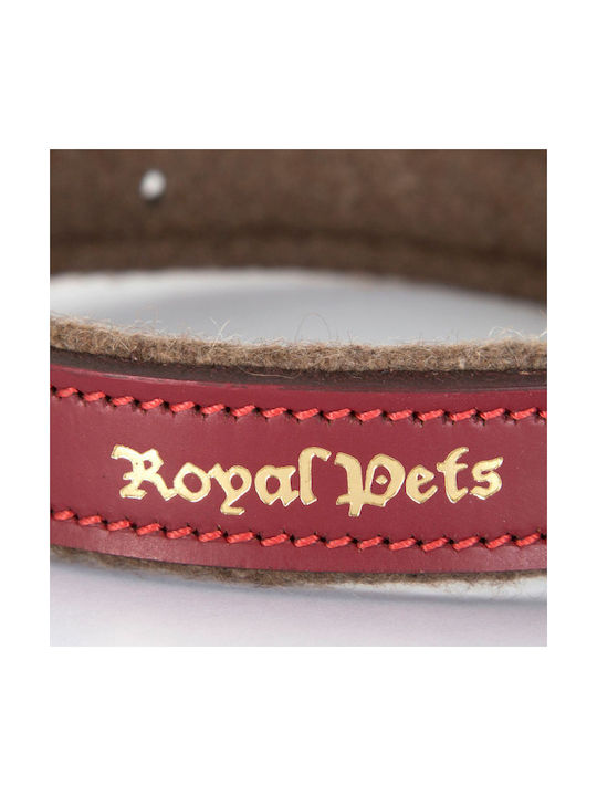 Kerbl Leather Dog Collar in Brown Color 25mm