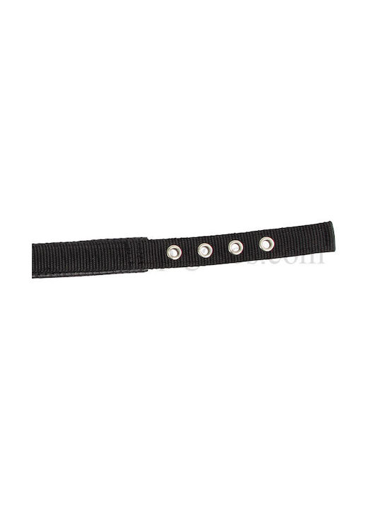 Kerbl Miami Plus Κολάρο Σκύλου σε Πράσινο χρώμα 25mm x 46cm