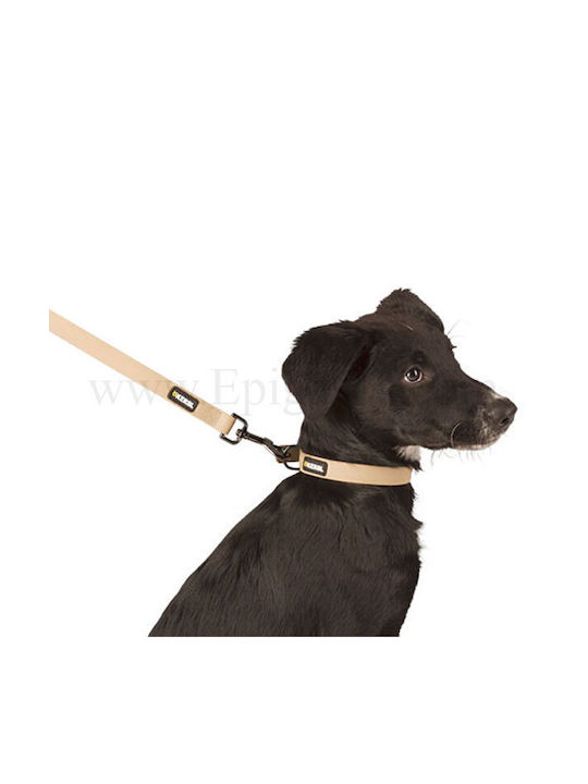Kerbl Dog Collar in Beige Color 25mm