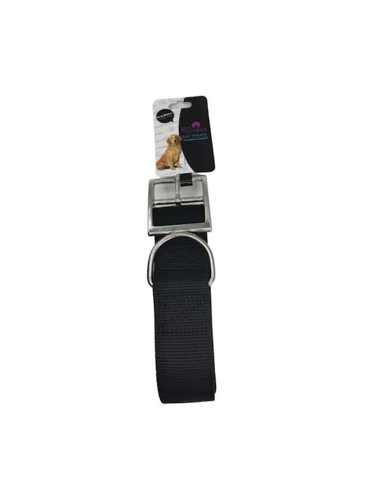 Pet Camelot Dog Collar 40 - 70cm Various Colors