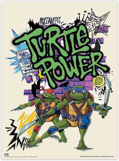 Set of 2 Mini Posters 38x52cm Teenage Mutant Ninja Turtles TMNT Anime Collection