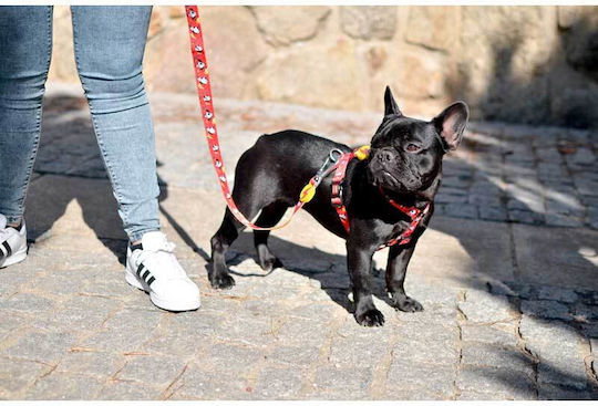 Dashi Dog Leash/Lead Strap in Red color