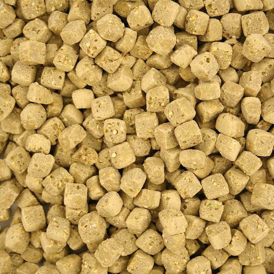 Harrison's Pepper Lifetime Coarse Year-round Granules Medium Large Birds Pepper 450g