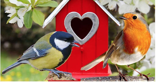 Claus Garden Bird Feed Food Garden Birds 500g