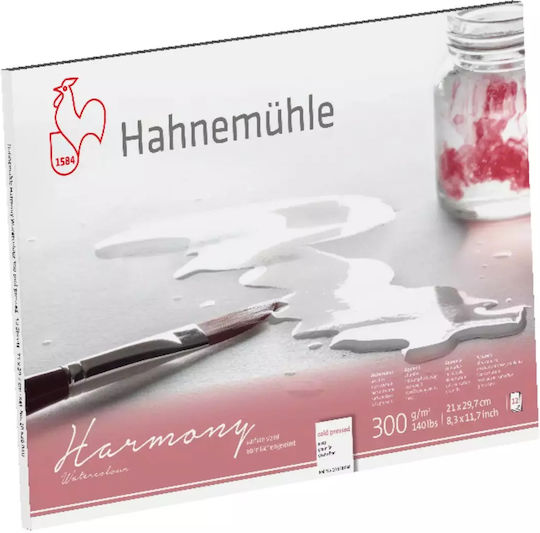 Hahnemuhle Μπλοκ Ζωγραφικής A4 21x29.7cm
