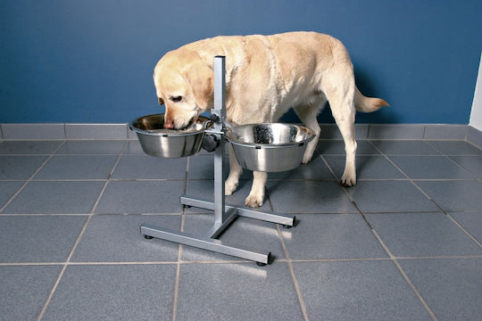 Trixie Edelstahl Schalen Futter & Wasser für Hund & Katze auf Basis von 2x 1.8lt 40cm in Silber Farbe 2Stück