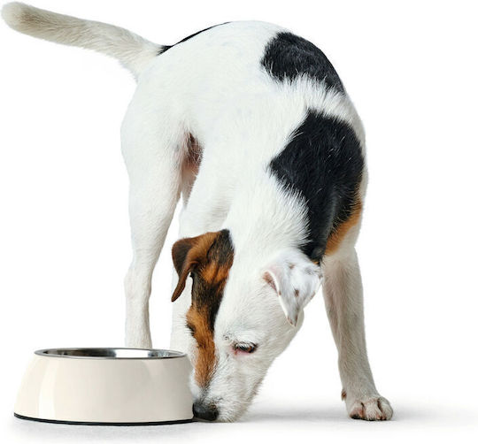 Hunter Stainless Steel Bowl Food for Dog & Cat 1.4lt in White Color
