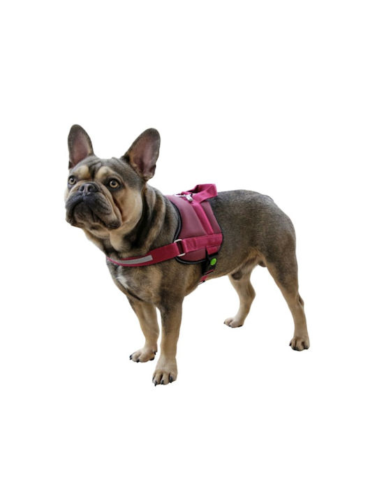 Kerbl Dog Harness Training Maestro 2.0 Red 30mm x 72-103cm 80688