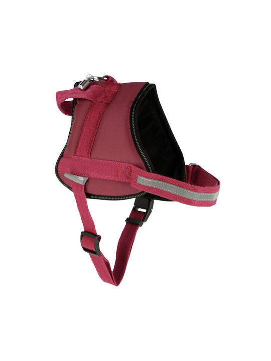 Kerbl Training Maestro 2.0 Red 25mm x 64-90cm