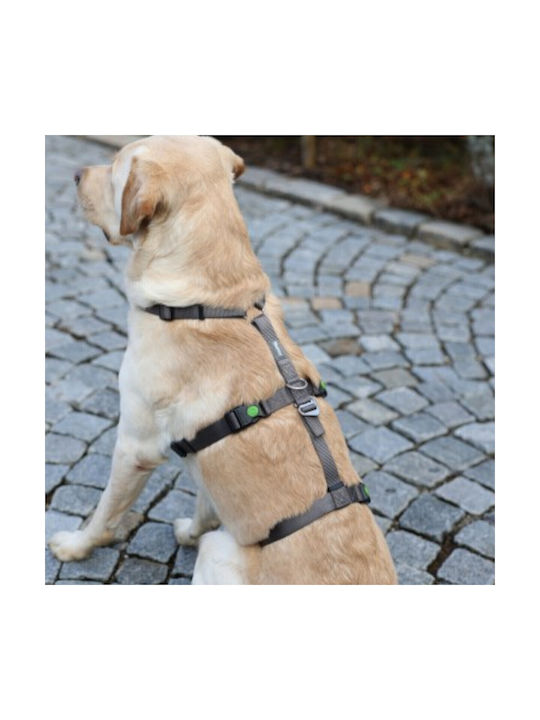 Kerbl Dog Harness Training Panic Harness Miami Gray 25mm x 64-100cm 80044