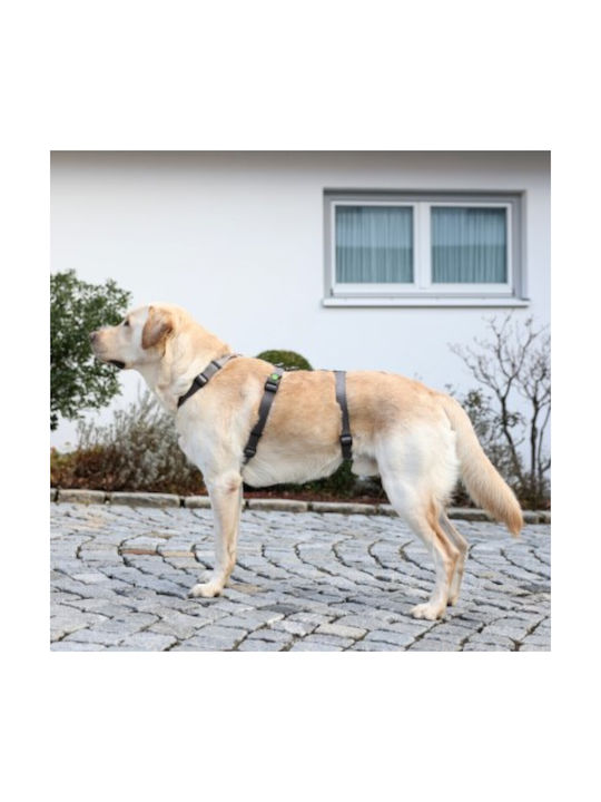 Kerbl Dog Training Harness Panic Harness Miami Gray 15mm x 38-52cm 80040