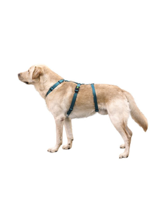 Kerbl Hundegeschirr Ausbildung Panic Harness Miami Blau 20mm x 48-70cm 80043