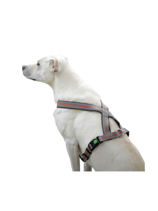 Kerbl Dog Harness Gray 80681