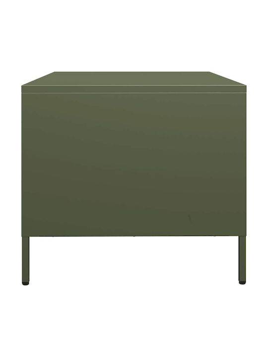 Rectangular Central Metal Coffee Table Green M101.5xP50xH43.5cm