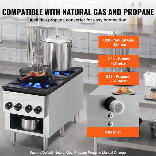 Vevor Commercial Gas Stove 2 Burners Countertop Cooking Plate Kitchen
