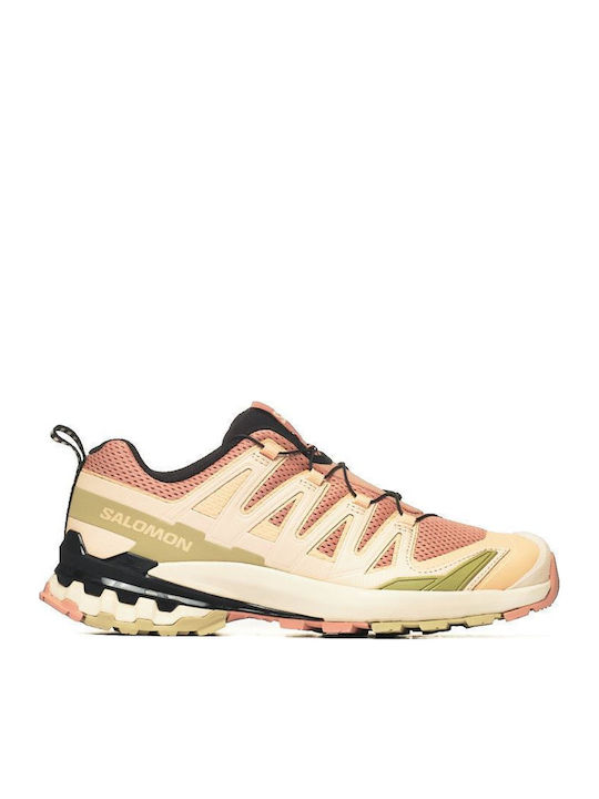 Salomon Xa Pro 3d Frauen Wanderschuhe Mehrfarbig