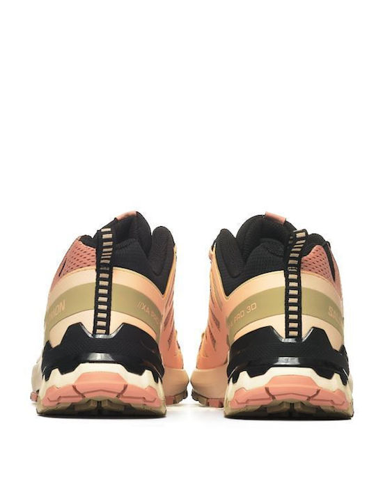 Salomon Xa Pro 3D Women's Multicolour Hiking Shoes