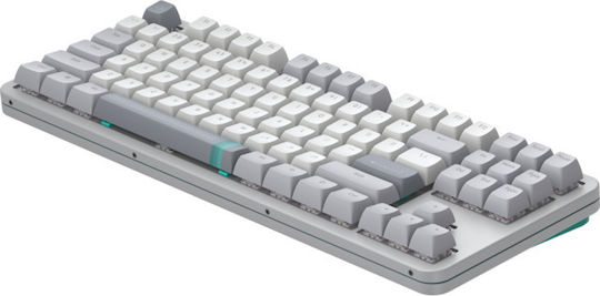 Dark Project ALU87A Gaming Mechanical Keyboard Tenkeyless with RGB lighting (English UK) Gray