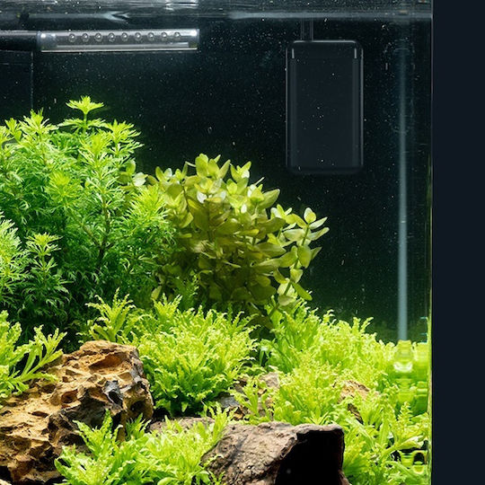 Dennerle Aquarium Technical Equipment