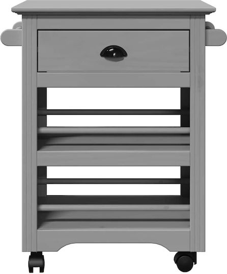 vidaXL Commercial Kitchen Food Cart H80xW67.5xD45cm