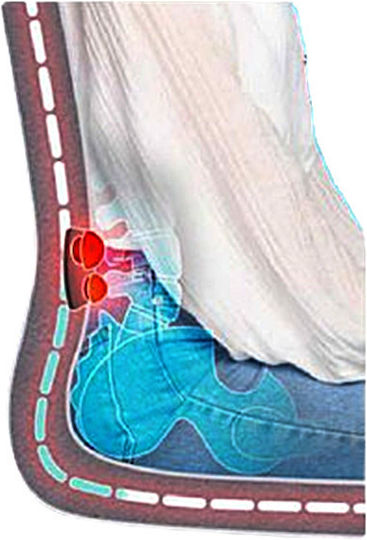 Homedics Seat Massage for the Back Gray