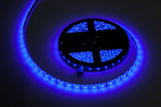 Banda LED Rebel 5m 300x5050 SMD RGB Impermeabilă 12V