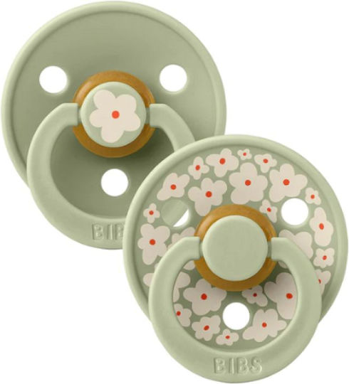 Bibs Studio Colour Pacifiers Rubber Jasmine Sage Mix for 6+ months 2pcs