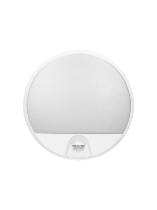 Adviti Стенен Външен Плафон LED IP54 15W с Естествено бяло Светлина 21x4.9εκ.