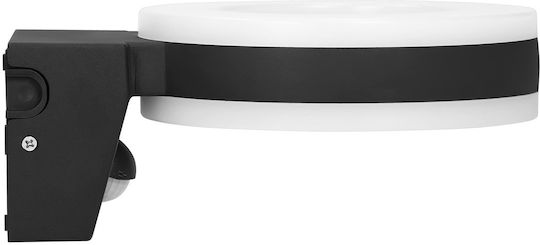 Adviti Стенни Външни Осветителни Тела със Сенник Вградено LED IP65 20W с Естествено Бяло Светлина