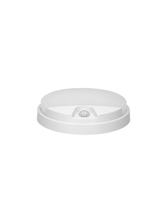 Orno Wall-Mounted Outdoor Light LED IP54 10W with Natural White Light 21x4.9εκ.