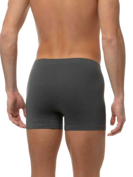 Minerva Men's Boxer Gray