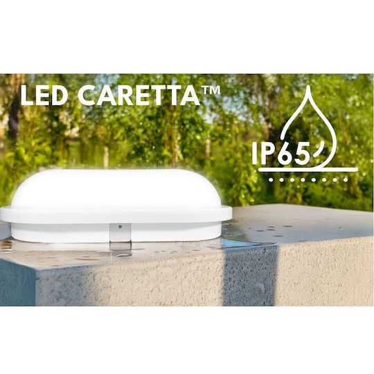 Elvhx Wall-Mounted Outdoor Turtle Light LED IP65 13W with Warm White Light