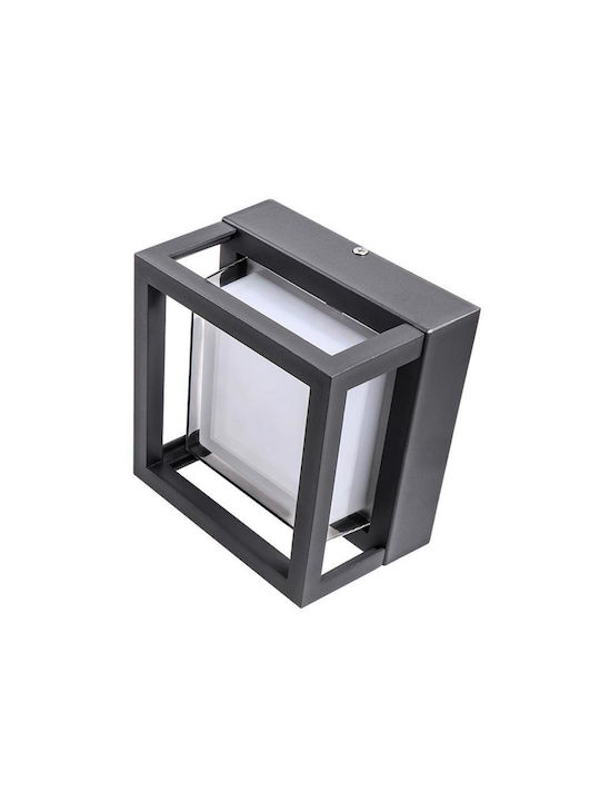Polux Wandmontierte Außen-Deckenleuchte LED IP44 12W