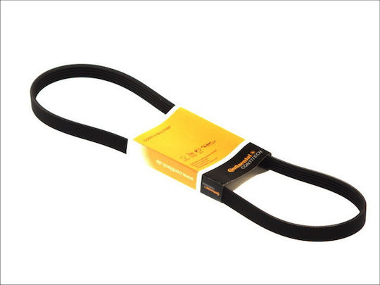 Curea de transmisie Citroen Berlingo Mf Contitech 5pk805