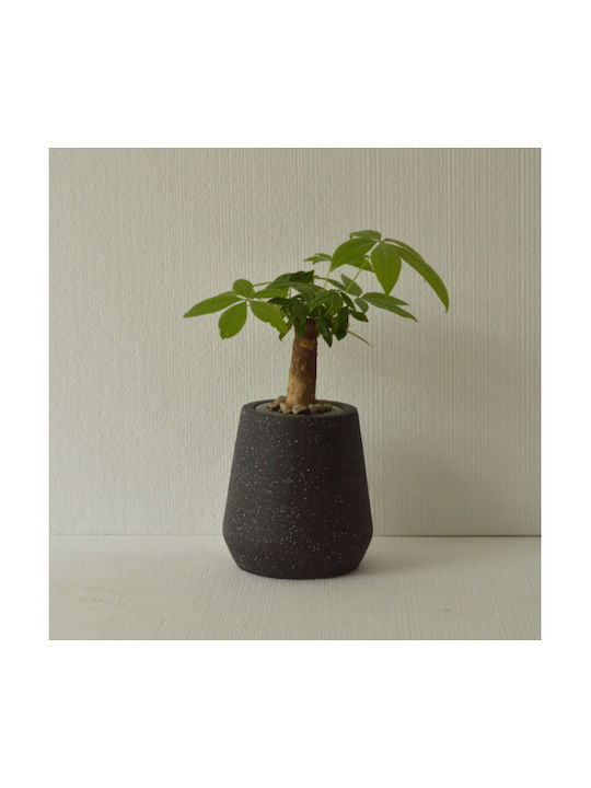 Harmony Topf Keramik Black 56x56x73cm.