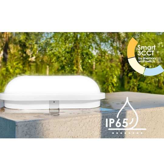 Elvhx Επιτοίχια Χελώνα Εξωτερική LED 8W με Ρυθμιζόμενο Λευκό Φως